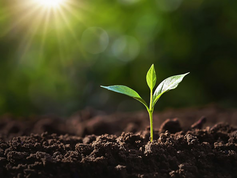 Il valore della sostenibilità